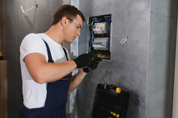 Best Local Electrician Companies  in Johnson Lane, NV