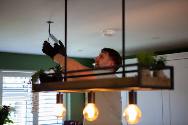 Best 24-Hour Electrician  in Johnson Lane, NV