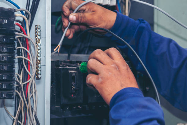 Best Industrial Electrical Services  in Johnson Lane, NV