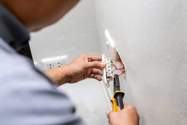 Best Industrial Electrical Services  in Johnson Lane, NV