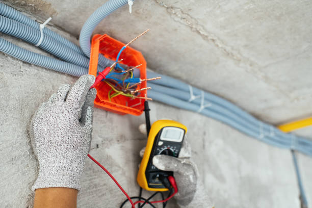 Best Residential Electrician Services  in Johnson Lane, NV